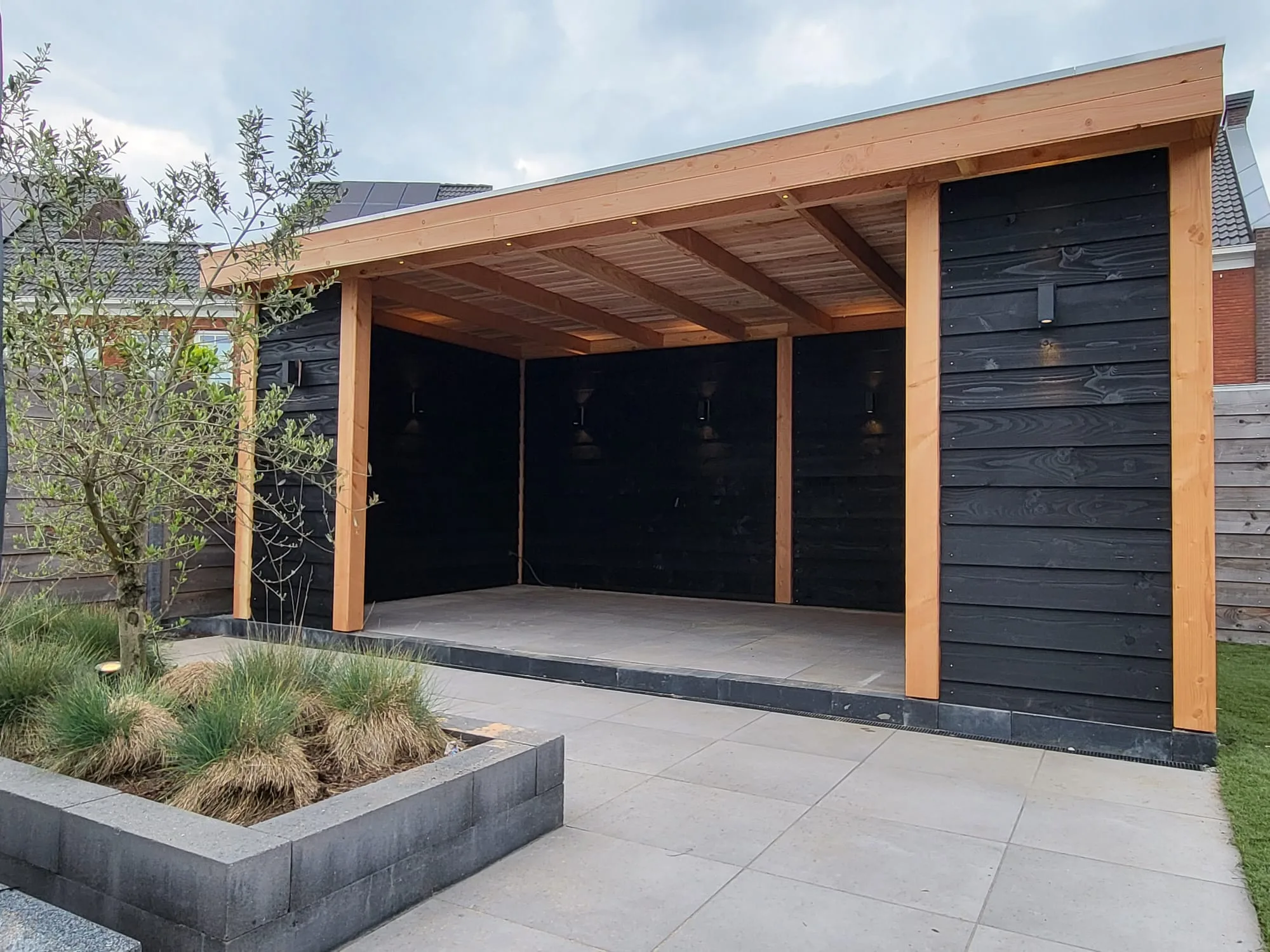 Douglas overkapping 6x4 - Afbeelding 2